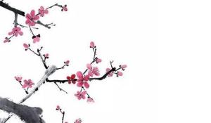 卜算子算命網(wǎng)