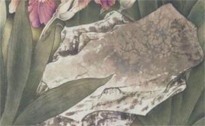 手機(jī)尾號11111好不好 號碼5678和1111哪個(gè)好
