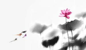 卜算子算命網(wǎng)