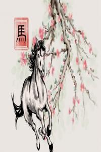 牛馬相害到底有多嚴(yán)重 生肖沖突中的微妙關(guān)系