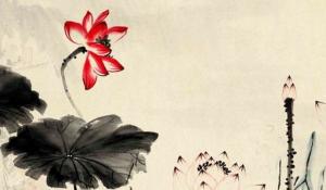 卜算子算命網(wǎng)