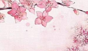 卜算子算命網(wǎng)