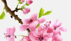 卜算子算命網(wǎng)