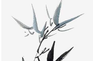 卜算子算命網(wǎng)