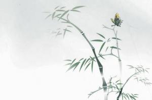 卜算子算命網(wǎng)