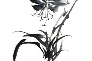 卜算子算命網(wǎng)