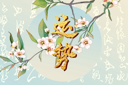 2024年生肖運勢排名推測，誰將獨占鰲頭？