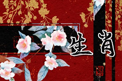 越活越年輕的生肖女，秘訣原來在這里