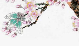 卜算子算命網(wǎng)