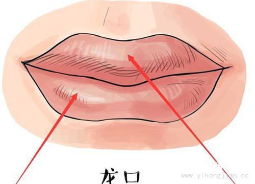 女人旺夫嘴型長什么樣 旺夫嘴女人的特征 女人旺夫嘴型長什么樣 旺夫嘴女人的特征