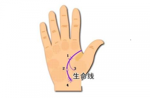 雙重生命線代表什么呢？有什么含義呢？