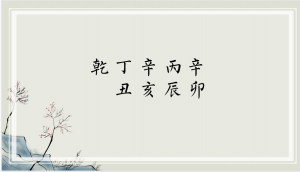 八字里有丙辛合的男命