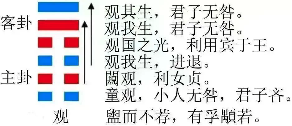2023年10月8日十二生肖運勢揭秘來啦