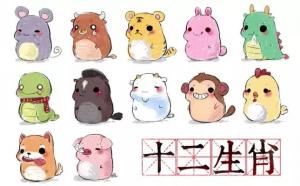 12生肖的愛情運(yùn)如何
