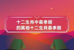十二生肖誰(shuí)最孝順