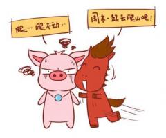 豬馬相克嗎 不是相克對(duì)象