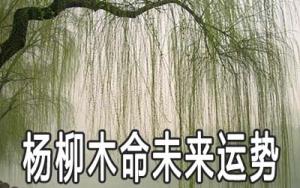 楊柳木命的男人一生命運(yùn)運(yùn)勢好不好
