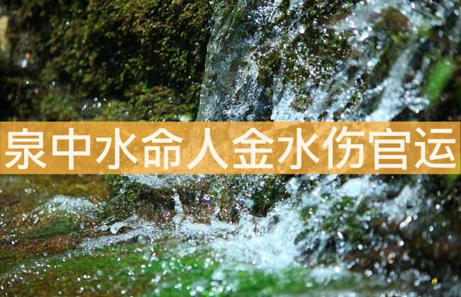 泉中水命人金水傷官運勢解析 會有財運嗎