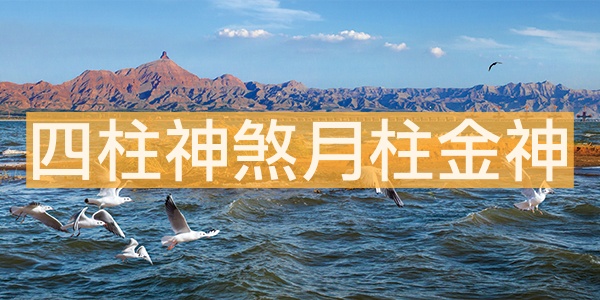 四柱神煞月柱金神具體代表著什么？