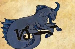 摩羯座運(yùn)勢(shì)2024整體運(yùn)勢(shì) 摩羯座2024每月運(yùn)勢(shì)詳解