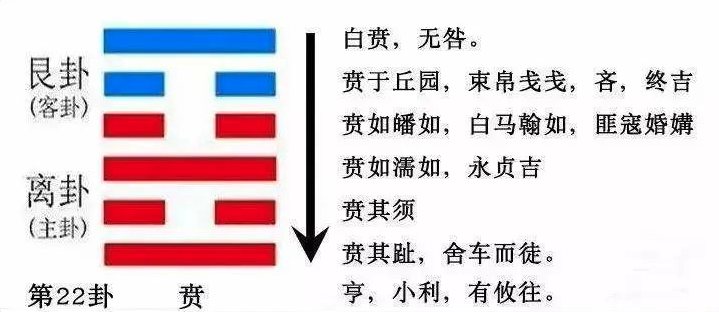 2023年10月22日十二生肖運勢揭秘來啦