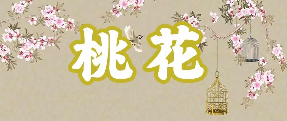 八字神煞之-桃花,桃花的含義