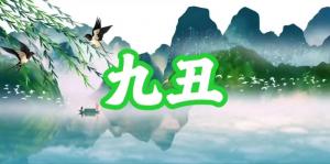 八字神煞之-九丑,九丑的含義