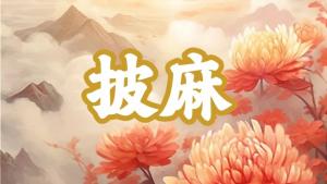 八字神煞之-披麻,披麻的含義