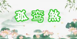 八字神煞之-孤鸞煞,孤鸞煞的含義
