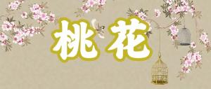 八字神煞之-桃花,桃花的含義