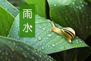 卜算子算命網(wǎng)