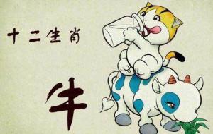 屬牛2024年整體運勢，屬牛2024年的運勢及運程！