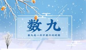 數(shù)九從哪一天開始到哪一天結(jié)束