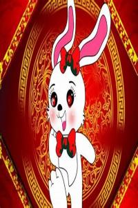 屬兔的和什么屬相相克？