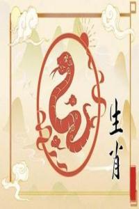 卜算子算命網(wǎng)