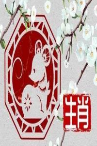 1984年屬鼠是什么命 1984年是什么命