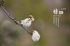 驚蟄節(jié)氣的特點和風(fēng)俗