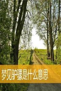 夢(mèng)見(jiàn)驢騾怎么回事 夢(mèng)見(jiàn)驢騾有什么預(yù)兆