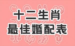 屬相婚配表相克大全 屬相婚配最佳組合