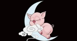 晚上生肖是什么生肖，十二生肖晚上的生肖有哪些？