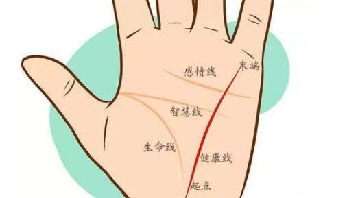 女人手相事業(yè)線圖解大全，女人手相事業(yè)線怎么看？
