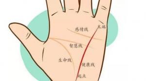 女人手相事業(yè)線圖解大全，女人手相事業(yè)線怎么看？