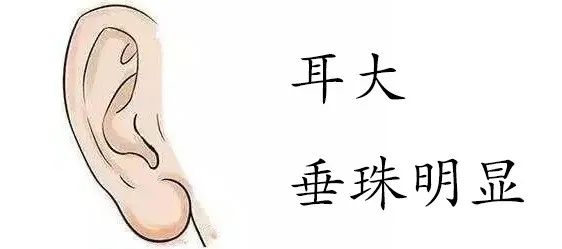 男人面相好的有什么特點