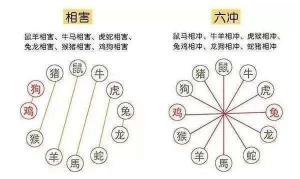 生肖相沖真的不能在一起嗎，怎么化解？