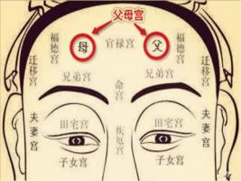 日月角突出的面相，日月角突出必為貴人