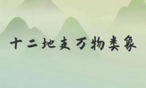 類象是什么意思，八卦萬(wàn)物類象詳解！