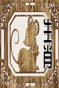 96年屬鼠的是什么命，五行屬什么？