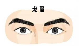 龍眉的男人命運，男人龍眉面相！