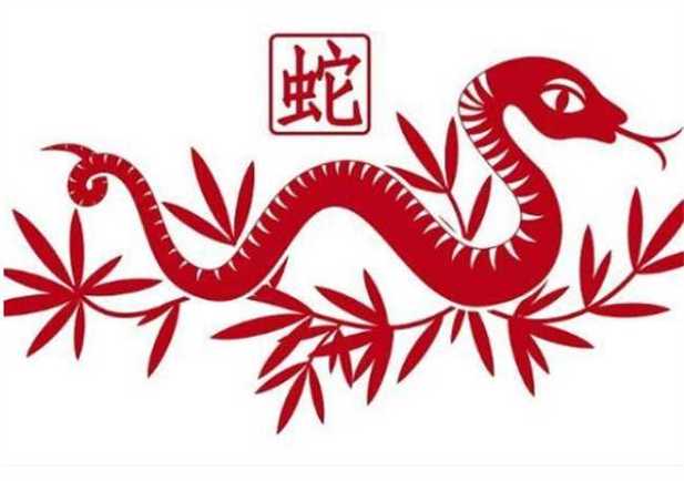 屬蛇的和什么屬相最配、相克