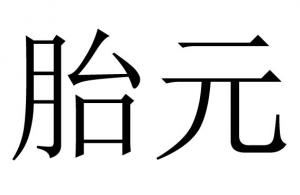 胎元命宮對(duì)八字的作用